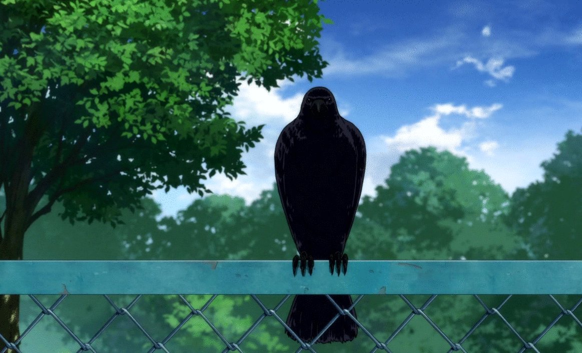 Photo du film Haikyuu!! The Dumpster Battle [2024]