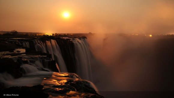 Photo from the movie Wild Cats