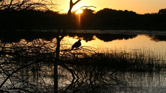 Photo from the movie Wild Cats