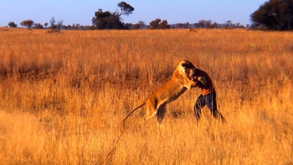 Photo from the movie Wild Cats