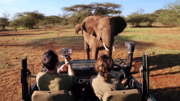 Photo from the movie Wild Cats