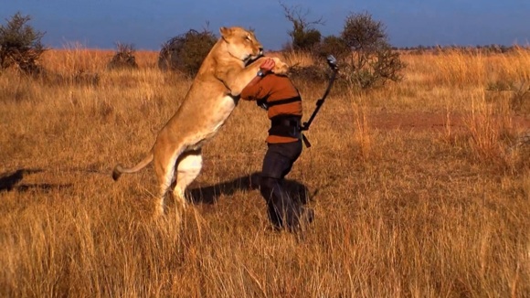 Photo from the movie Wild Cats