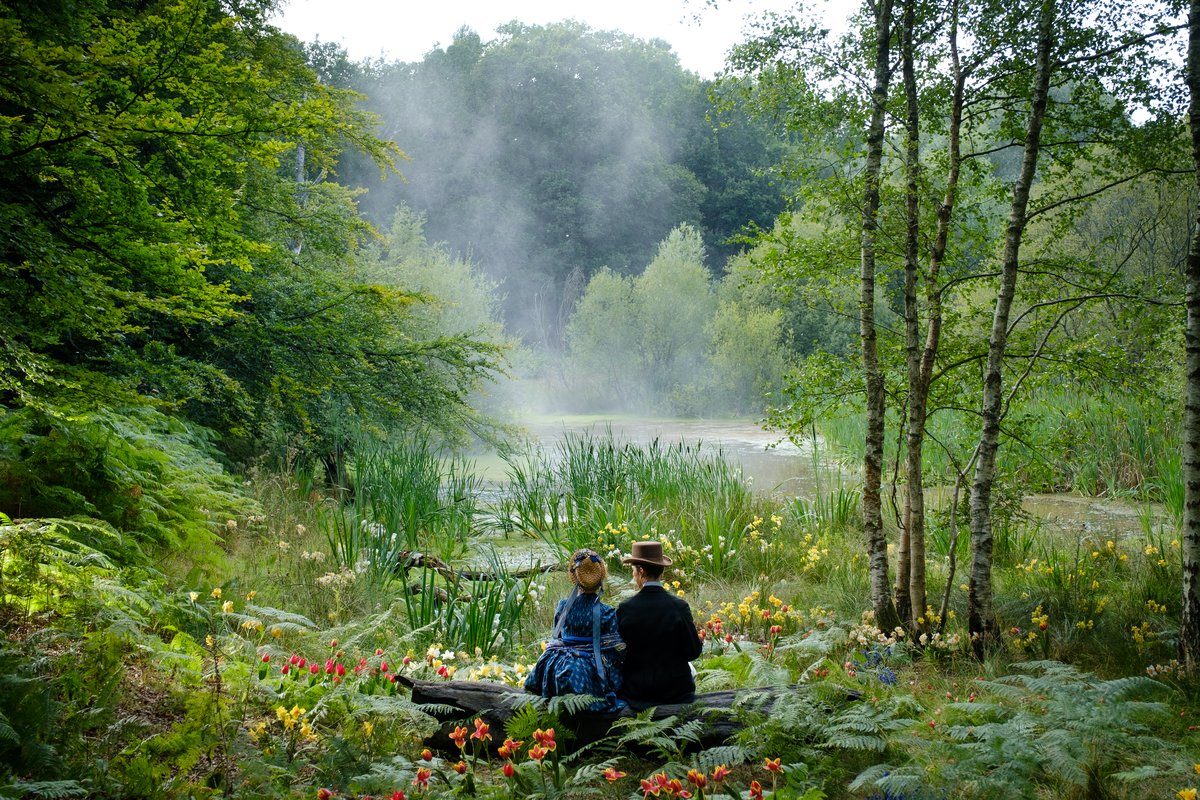 Photo du film La vie extraordinaire de Louis Wain