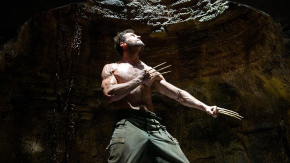 Photo du film Le Wolverine v.f.