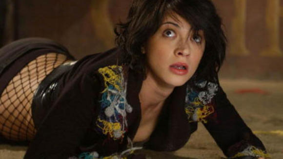 Photo du film La Terre des morts