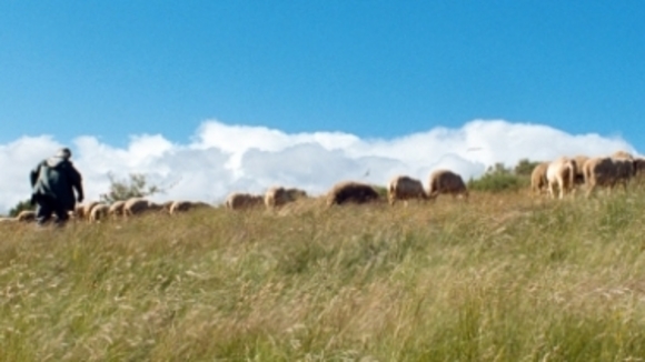 Photo du film Modern Life