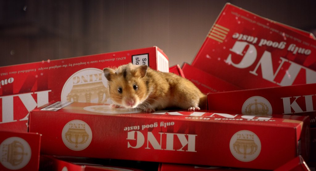 Photo from the movie My Friend Raffi