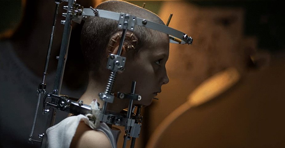 Photo du film Titane