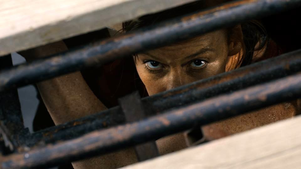 Photo du film Blood Stripe