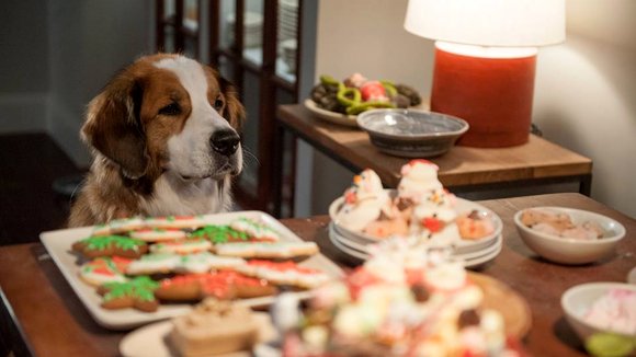 Photo from the movie Love the Coopers
