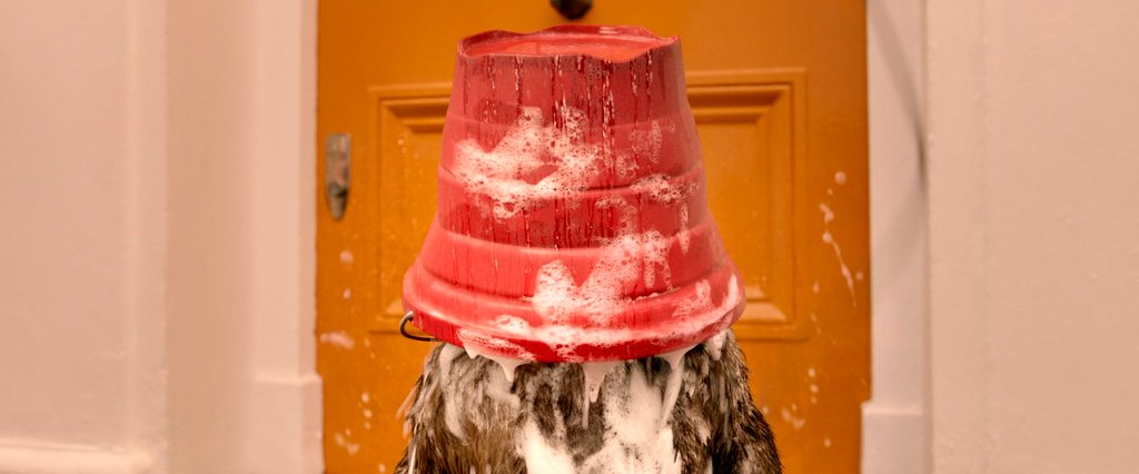 Photo from the movie Paddington 2