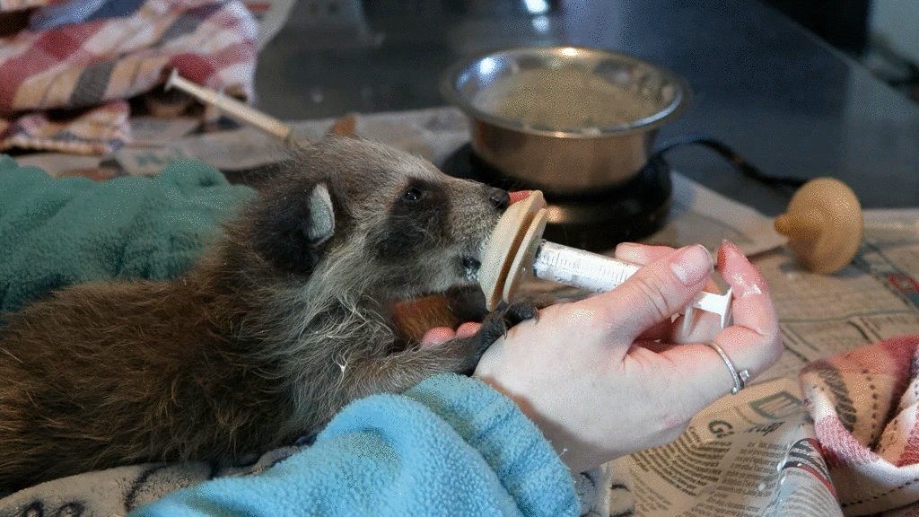 Photo from the movie La saveur d'une vie [2025]