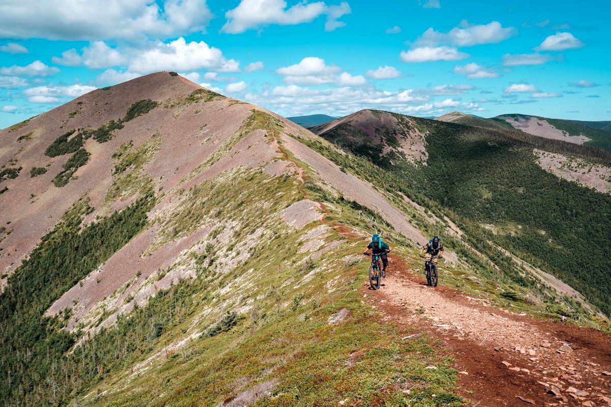 Photo from the movie Les aventuriers voyageurs: Ma Gaspesie et ses trésors cachés [2023]