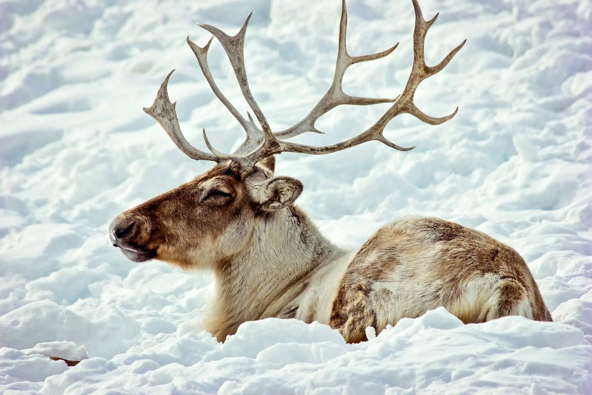 Photo from the movie Les aventuriers voyageurs: Ma Gaspesie et ses trésors cachés [2023]