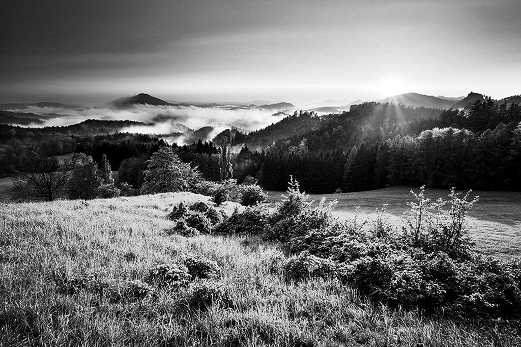 Photo from the movie The Painted Bird