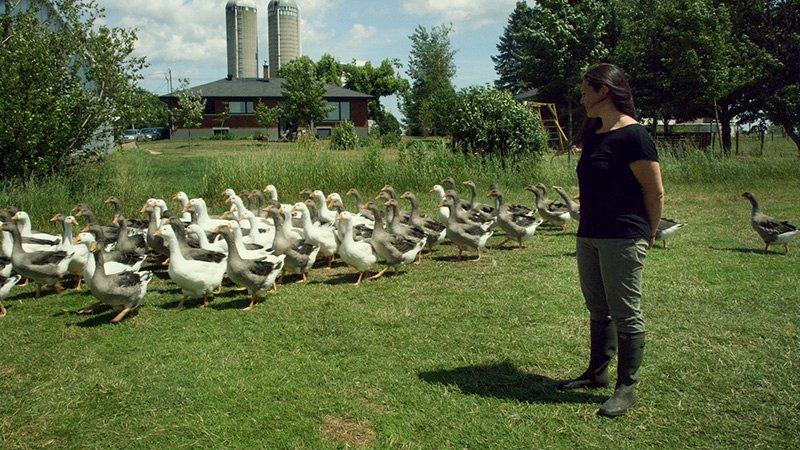 Photo from the movie La Ferme et son État [2017]