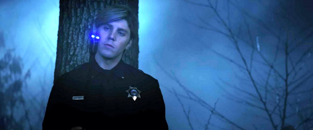 Photo du film Compagnon v.f. [2025]