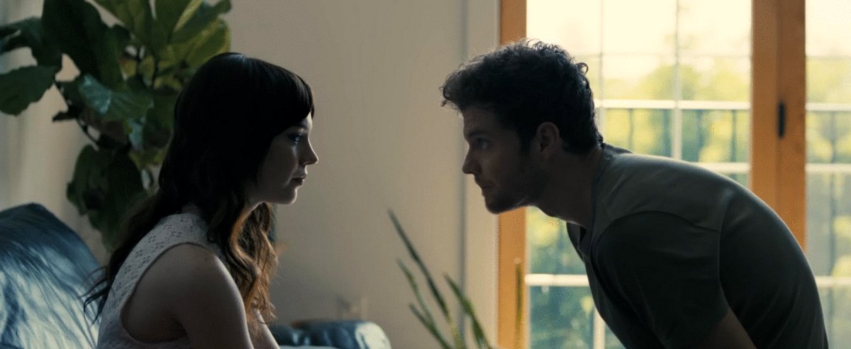 Photo du film Compagnon v.f. [2025]