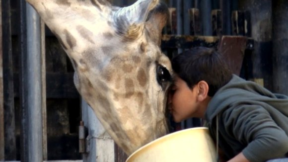 Photo du film Giraffada