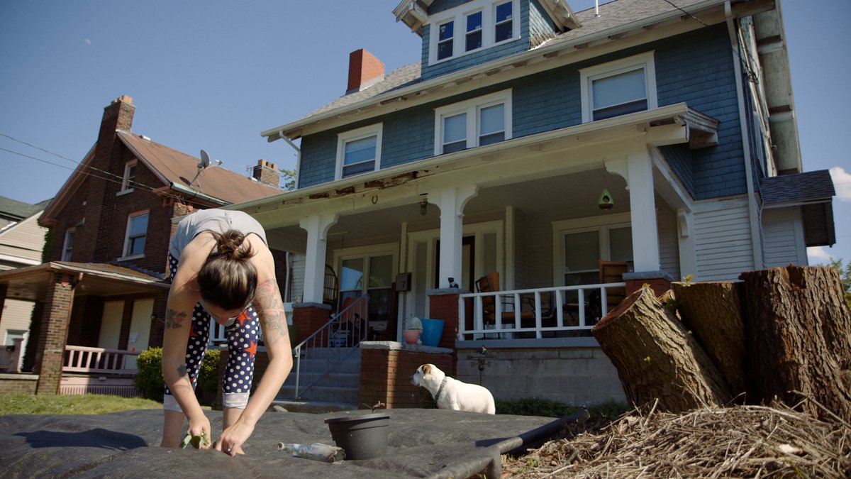 Photo du film Greyland [2022]