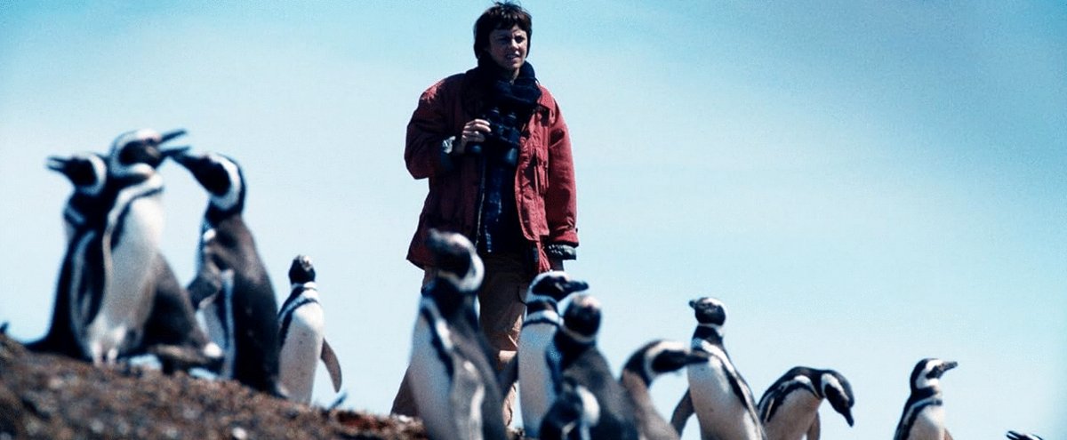 Photo du film My Penguin Friend