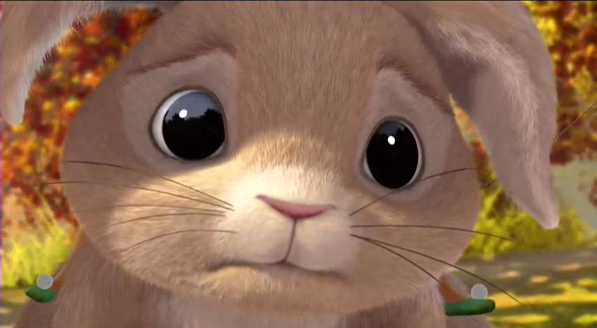 Photo from the movie Le Secret des Ailes Magiques