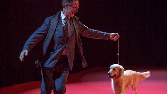 Photo du film La Nouvelle vie de Paul Sneijder