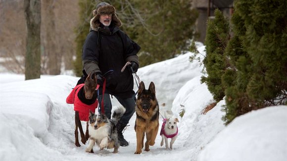 Photo du film La Nouvelle vie de Paul Sneijder