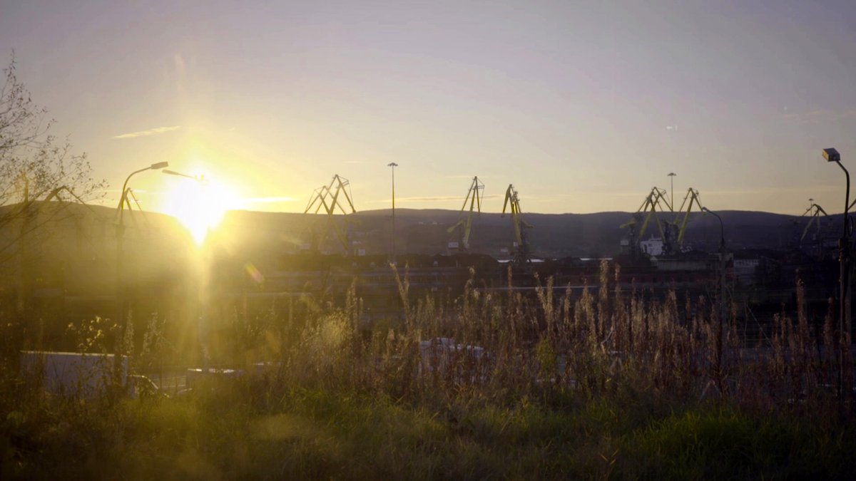 Photo from the movie Habitat [2020]