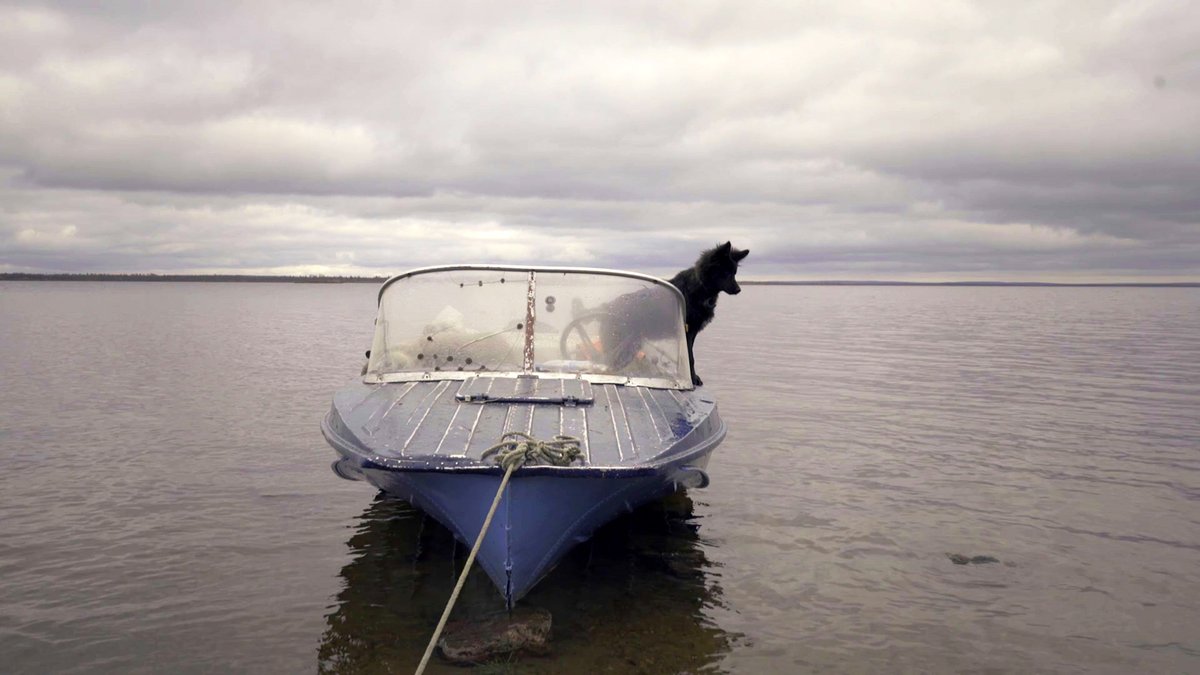 Photo from the movie Habitat [2020]