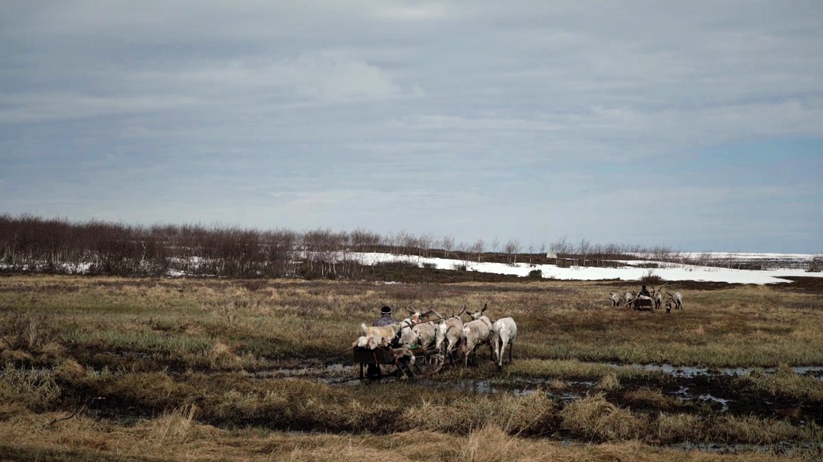 Photo from the movie Habitat [2020]