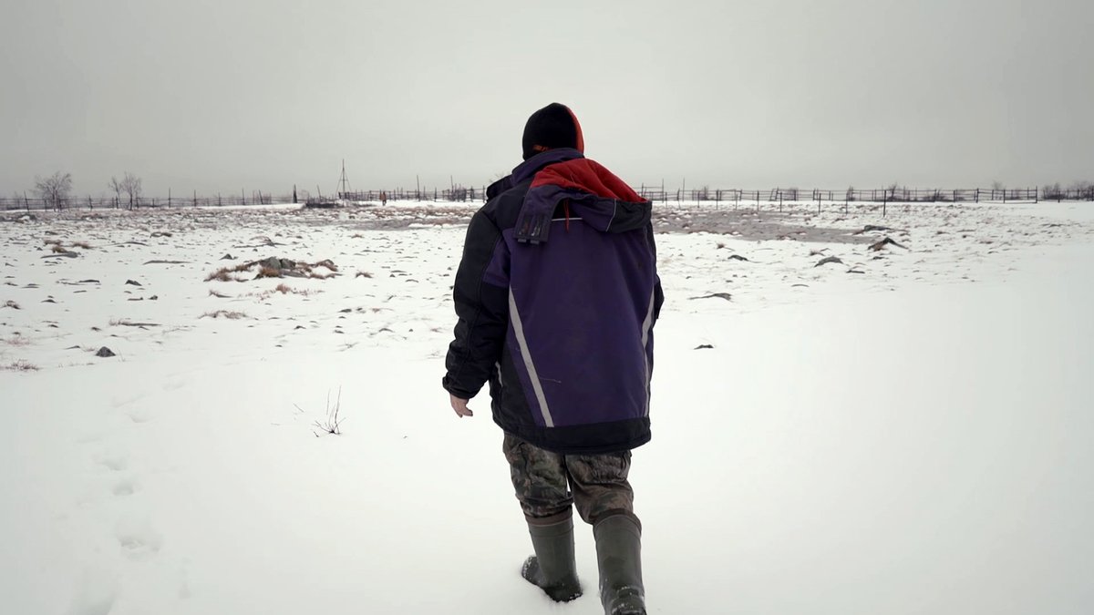 Photo from the movie Habitat [2020]