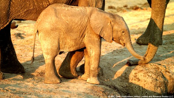 Photo du film Enchanted Kingdom