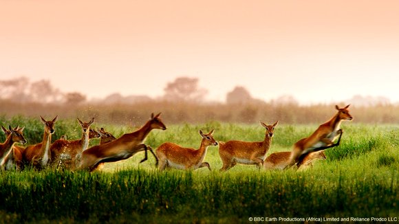Photo du film Enchanted Kingdom