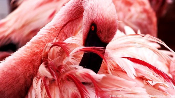 Photo du film Enchanted Kingdom