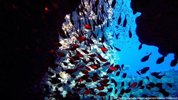 Photo du film Enchanted Kingdom