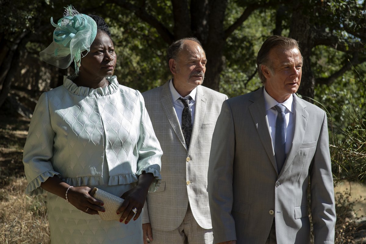 Photo du film Rumba la vie