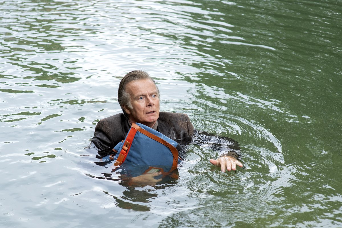 Photo du film Rumba la vie