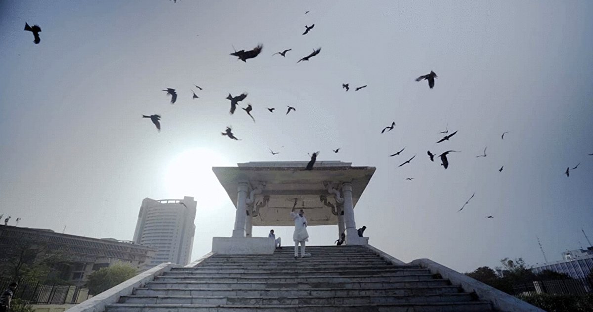 Photo du film All That Breathes