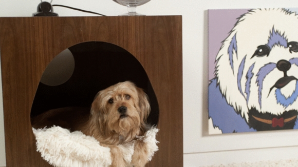 Photo du film Présentateur vedette 2: La légende se poursuit