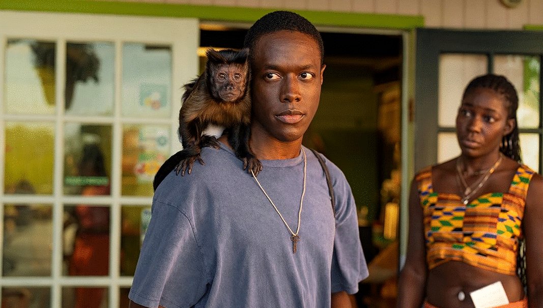 Photo du film Bad Monkey