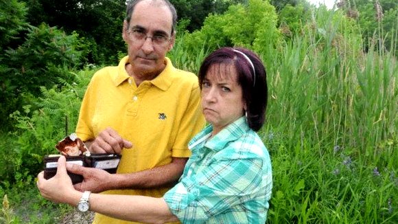 Photo du film Novembre 84'