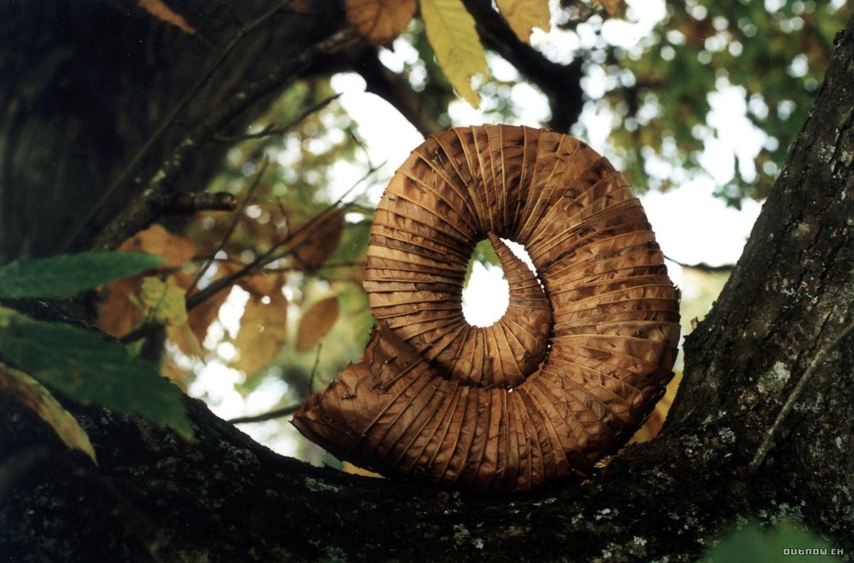 Photo du film L'Oeuvre du temps [2001]