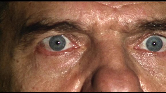 Photo from the movie Il gatto a nove code