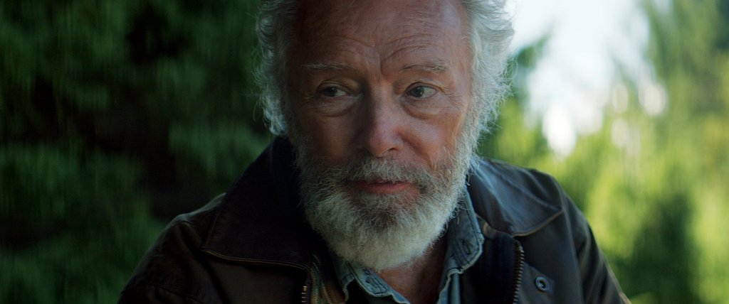 Photo du film Il pleuvait des oiseaux