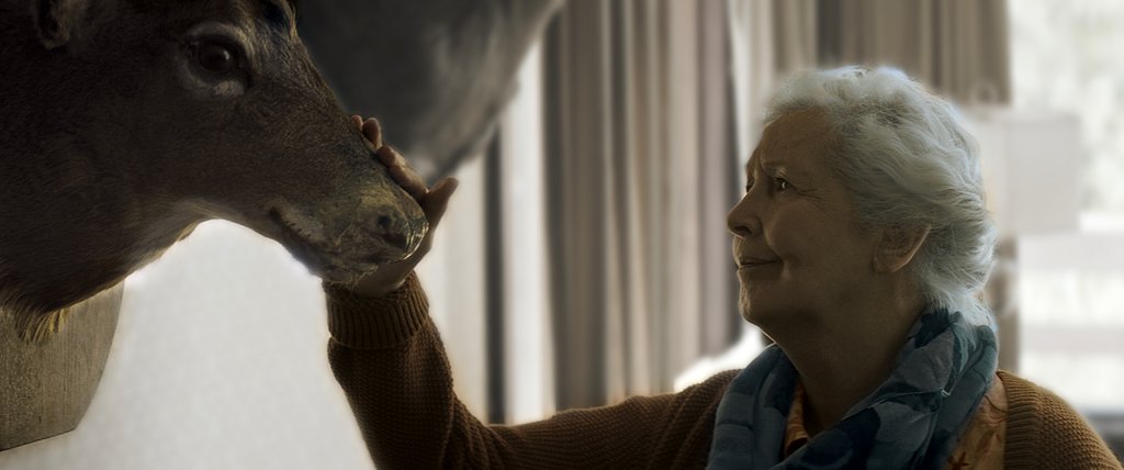 Photo du film Il pleuvait des oiseaux