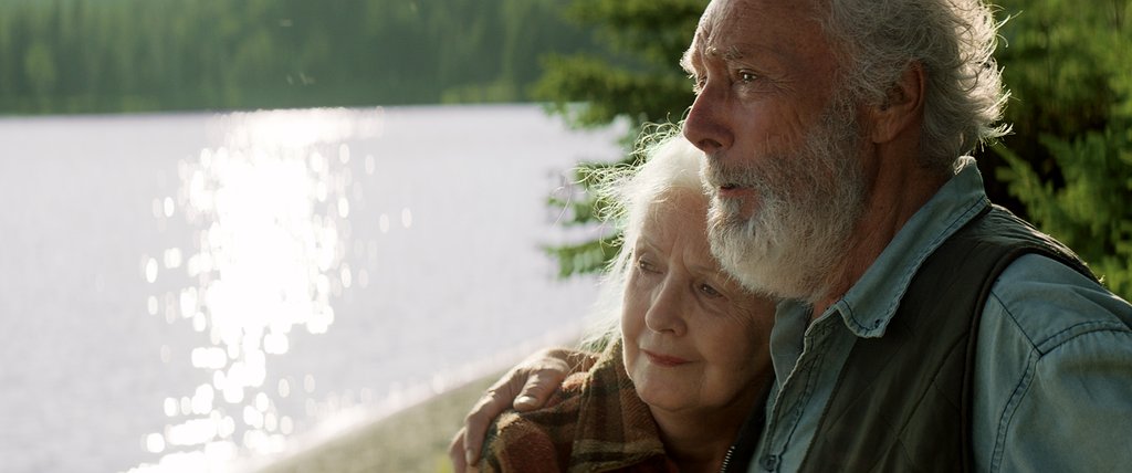 Photo du film Il pleuvait des oiseaux
