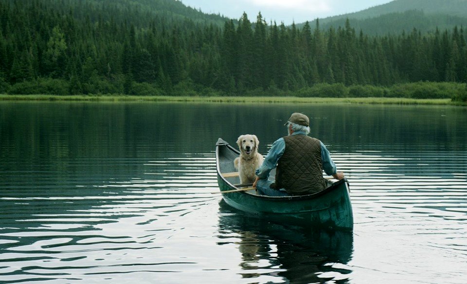 Photo du film Il pleuvait des oiseaux
