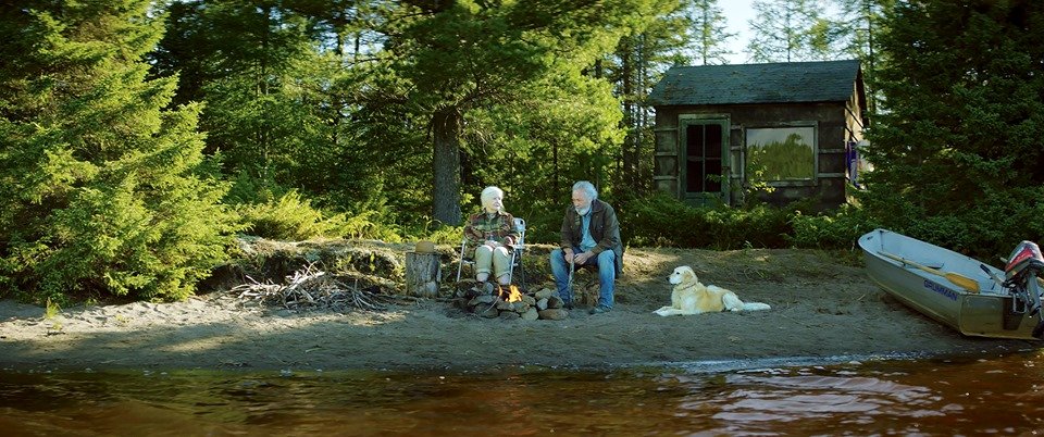 Photo du film Il pleuvait des oiseaux