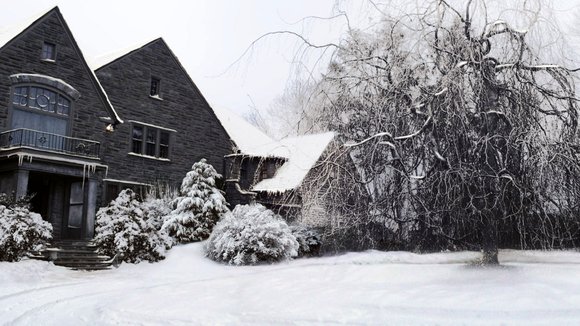 Photo du film Altered Minds